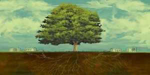 El costoso ciclo del carbono: Un desbalance ambiental de alcance planetario