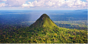 LA AMAZONÍA EN EL BICENTENARIO
