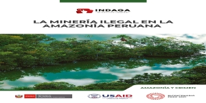 Una política criminal para la minería ilegal