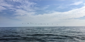 El Mar, tan vasto como nuestra indiferencia