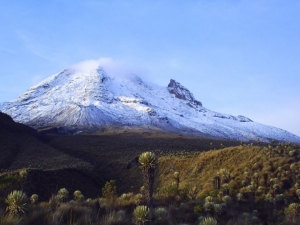 Se reconoce al Parque Nacional Natural Los Nevados de Colombia como sujeto de derechos y se ordena al Poder Ejecutivo su protección