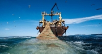 Hacia la construcción de una respuesta desde el Derecho Penal contra la pesca ilegal