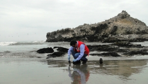 La fiscalización ambiental del derrame de hidrocarburos en el mar de Ventanilla